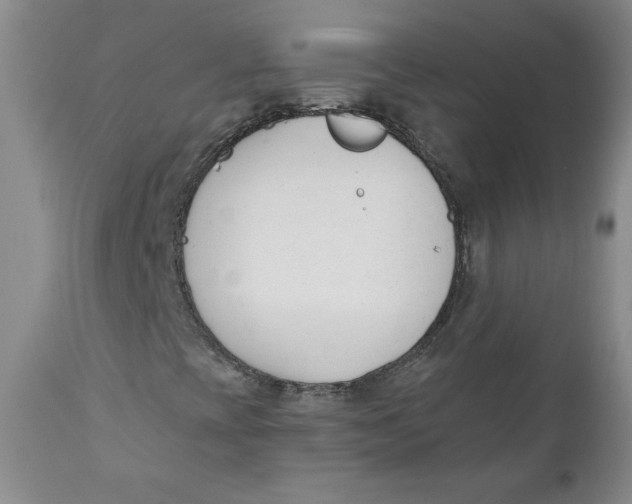 X0000110741393200907060956