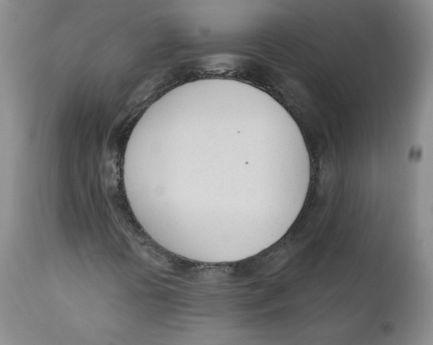 X0000110741394200907060956