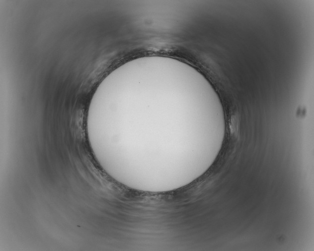 X0000110741396200907060956