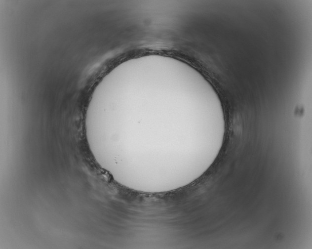 X0000110741398200907060956