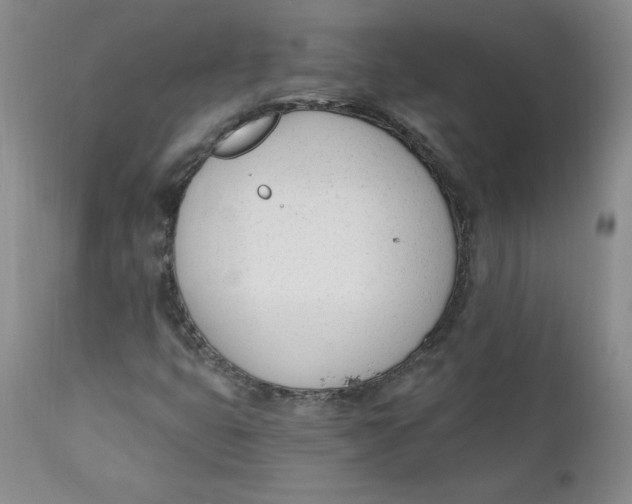 X0000110741399200907060956