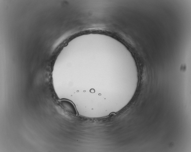 X0000110741400200907060956