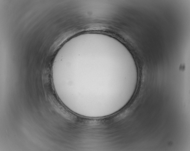 X0000110741401200907060956