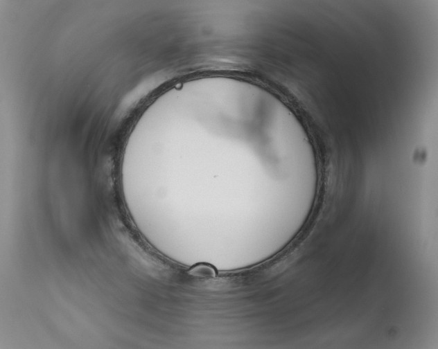 X0000110741402200907060956