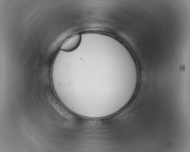 X0000110741403200907060956