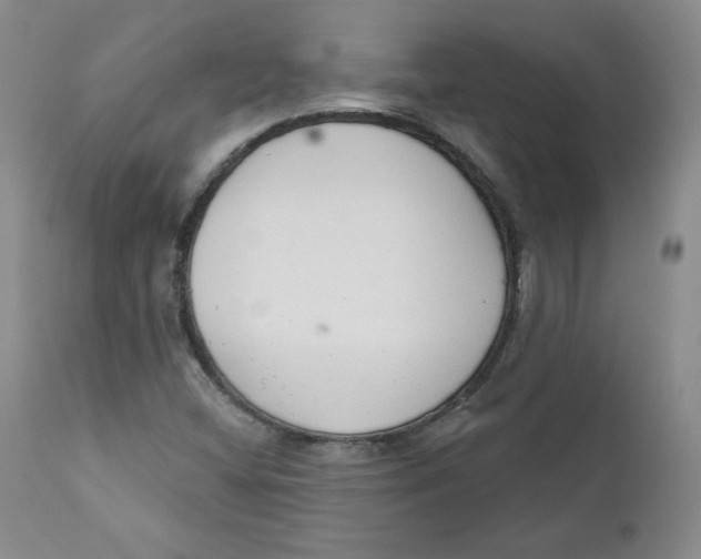 X0000110741404200907060956