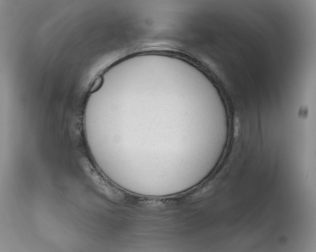 X0000110741405200907060956