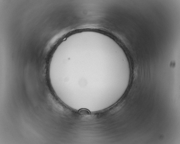 X0000110741406200907060956