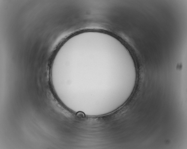 X0000110741408200907060956