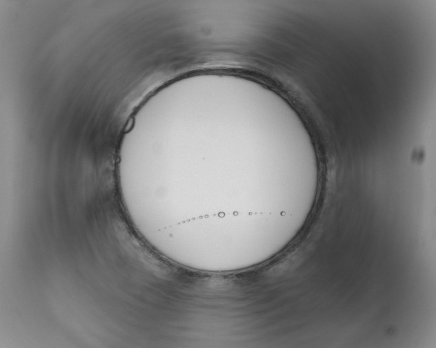 X0000110741409200907060956