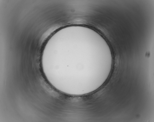 X0000110741410200907060956