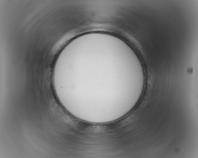 X0000110741411200907060956