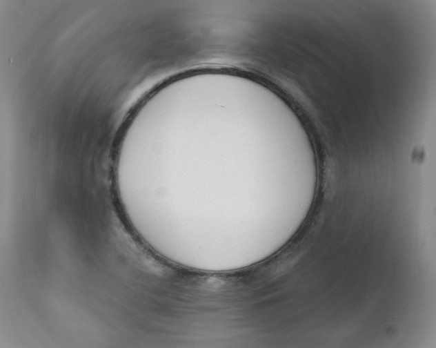 X0000110741412200907060956