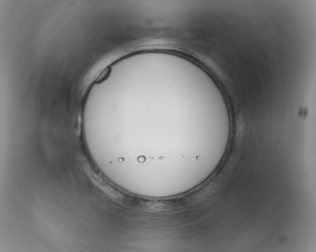 X0000110741413200907060956