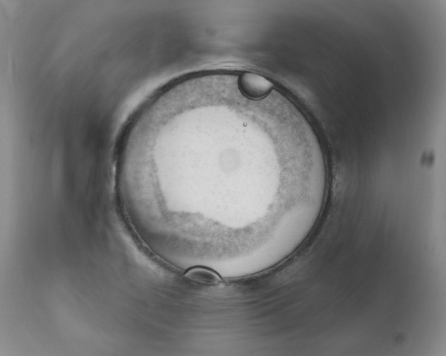 X0000110741414200907060956