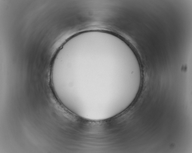 X0000110741415200907060956