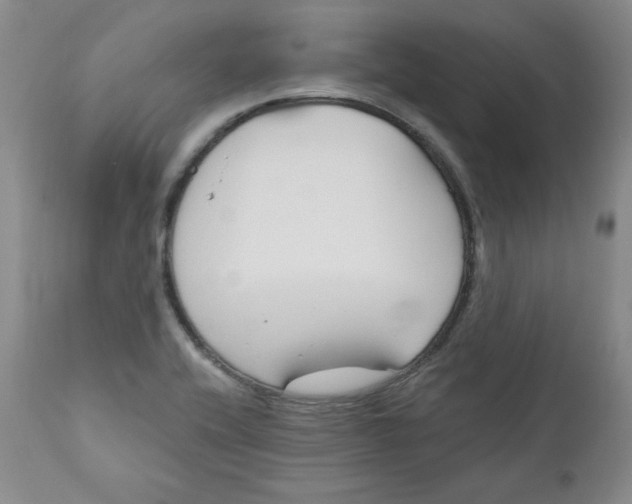 X0000110741416200907060956