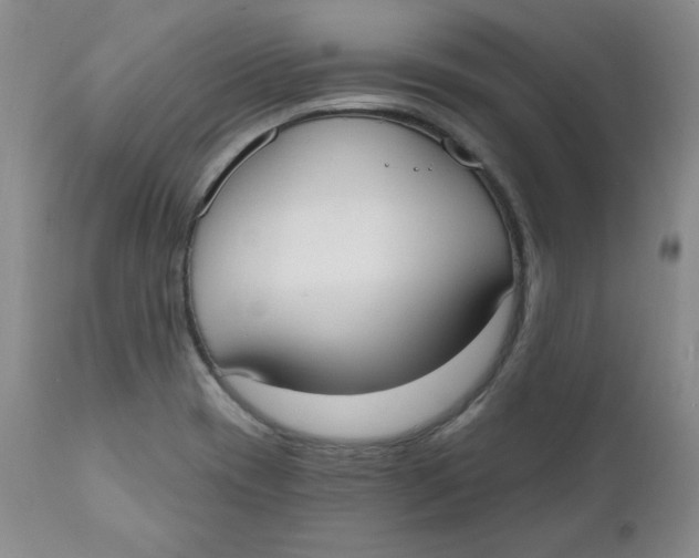 X0000110741417200907060956