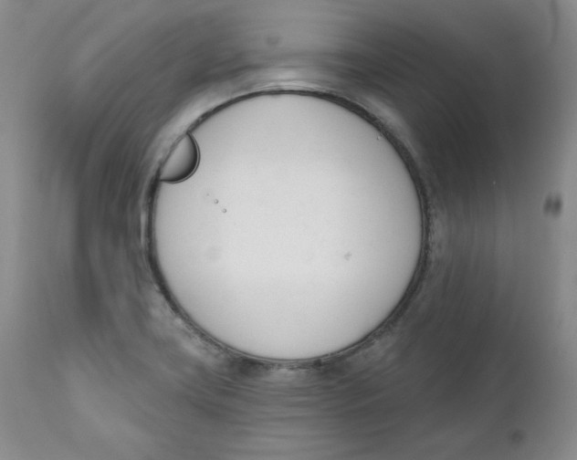 X0000110741419200907060956