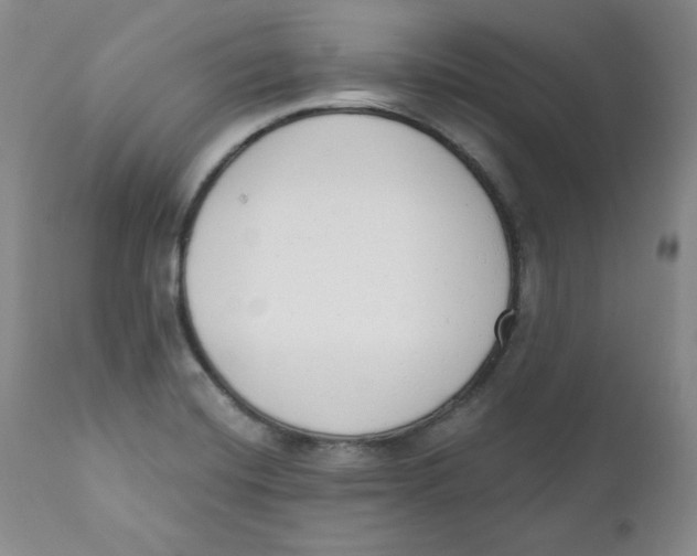 X0000110741420200907060956