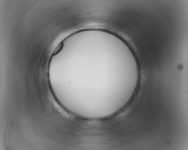 X0000110741421200907060956