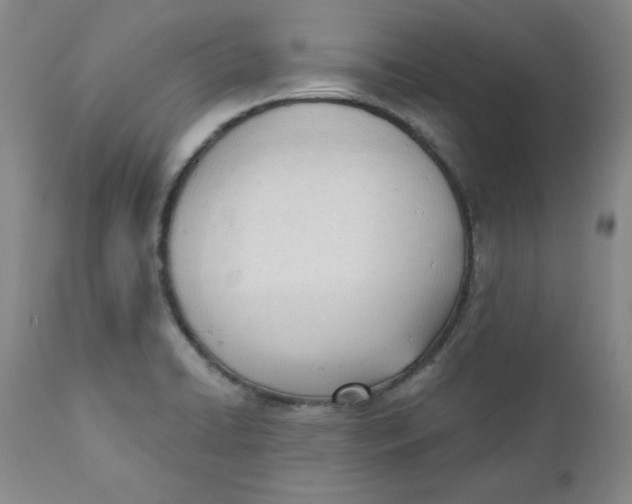 X0000110741422200907060956