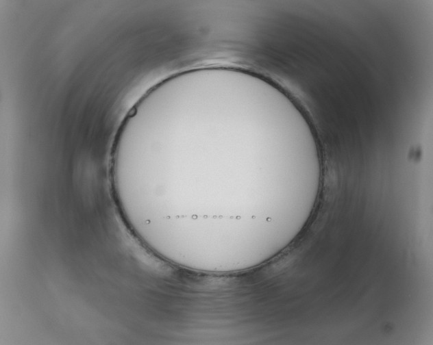 X0000110741423200907060956