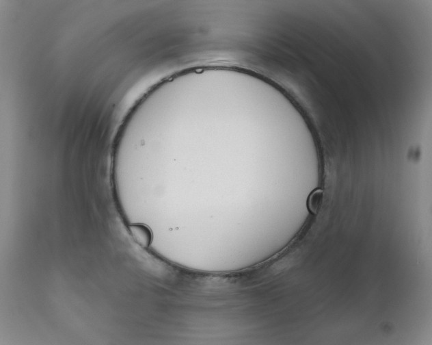 X0000110741424200907060956