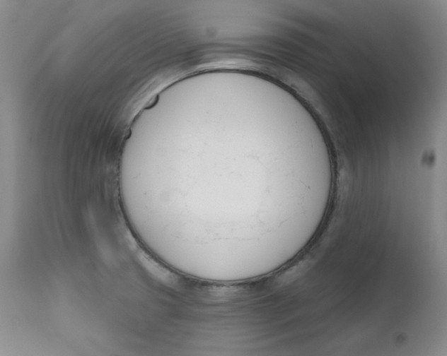 X0000110741425200907060956