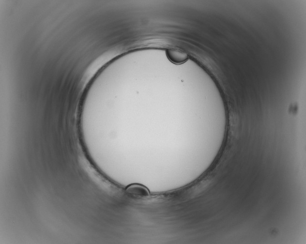 X0000110741426200907060956