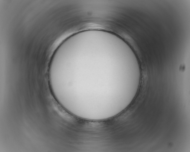 X0000110741427200907060956