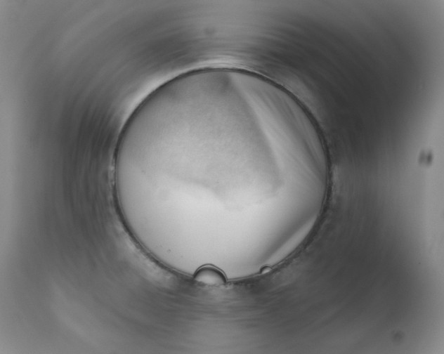 X0000110741428200907060956