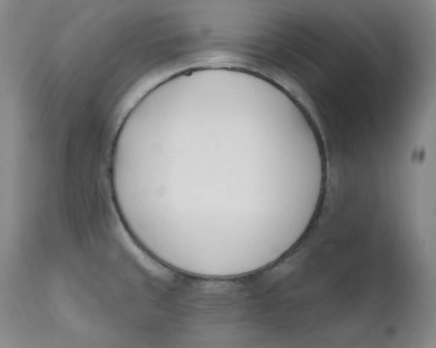 X0000110741429200907060956