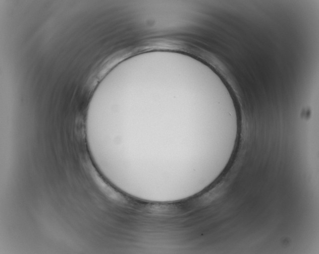 X0000110741433200907060957