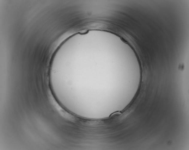 X0000110741434200907060957