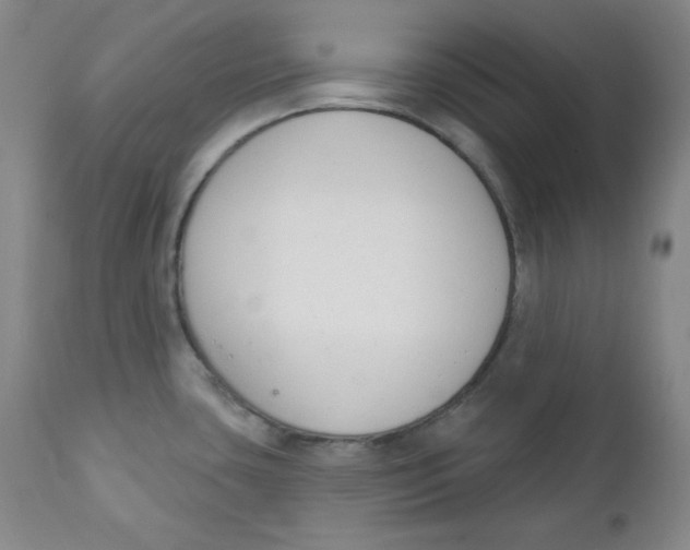 X0000110741435200907060957