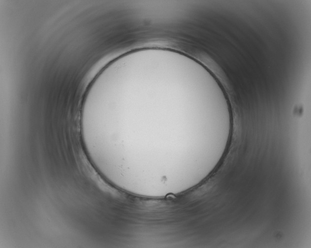 X0000110741436200907060957