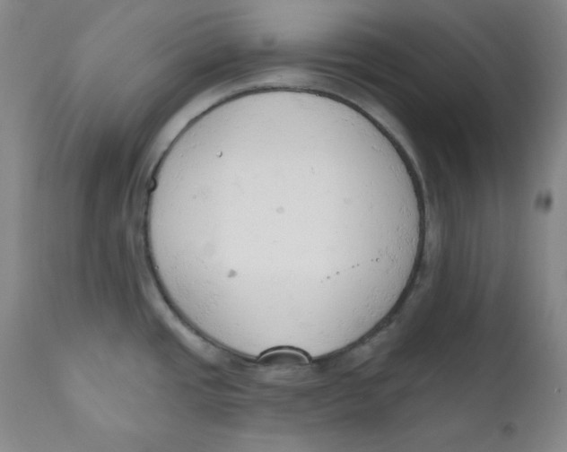 X0000110741437200907060957