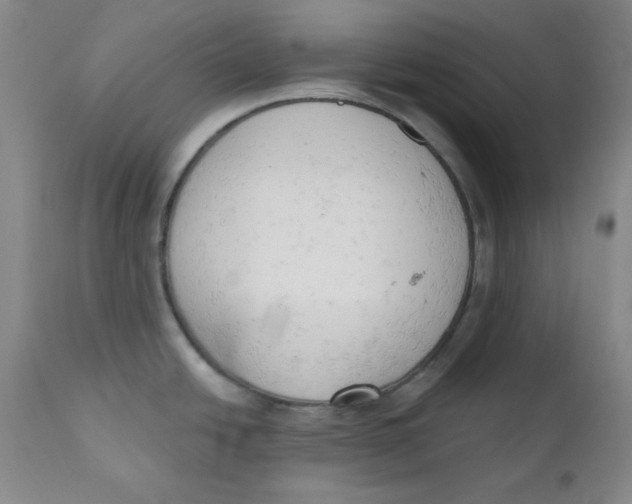 X0000110741438200907060957