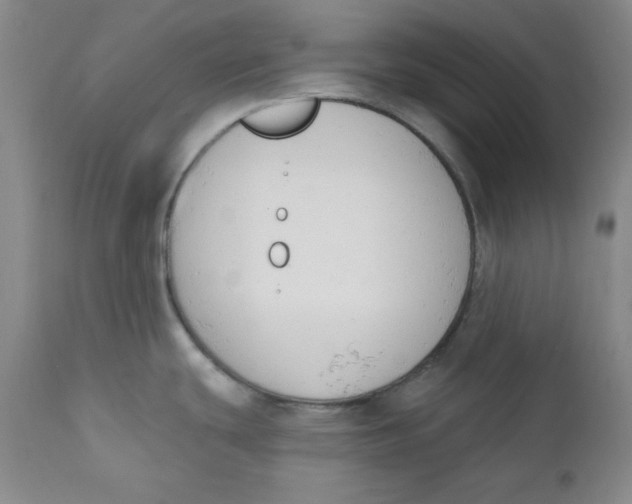 X0000110741439200907060957