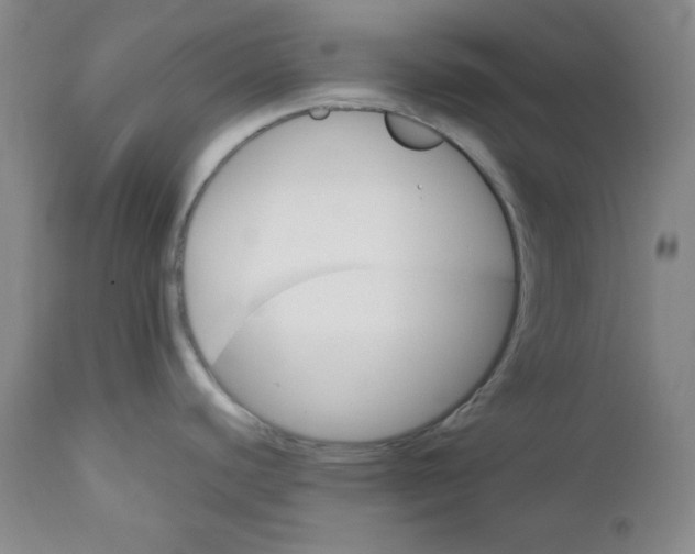 X0000110741440200907060957