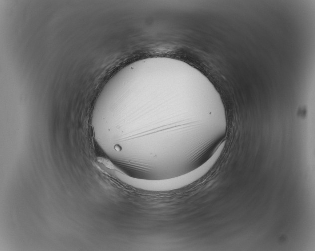 X0000110741441200907060956