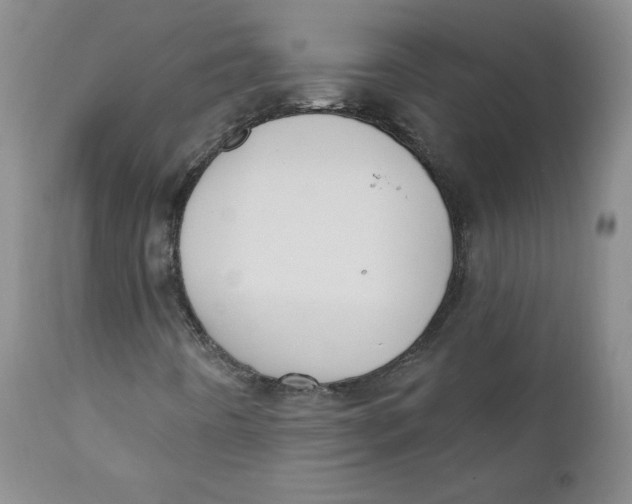 X0000110741442200907060956