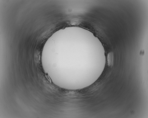 X0000110741443200907060956