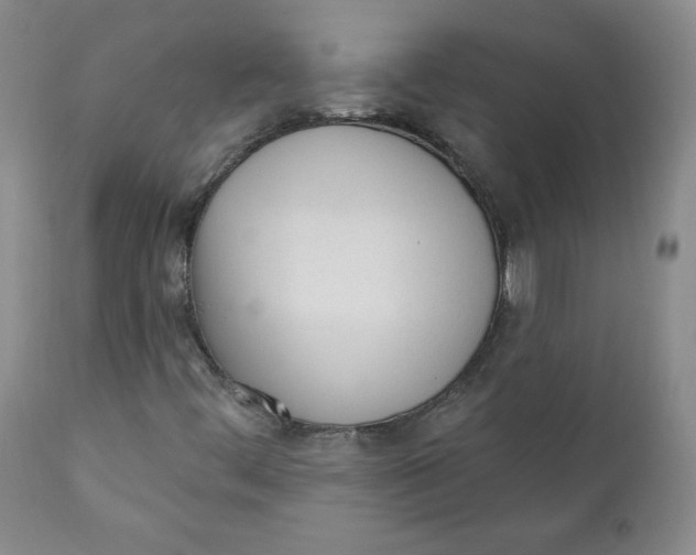 X0000110741444200907060956