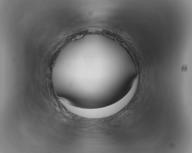 X0000110741445200907060956