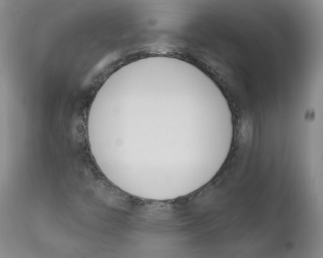 X0000110741446200907060956