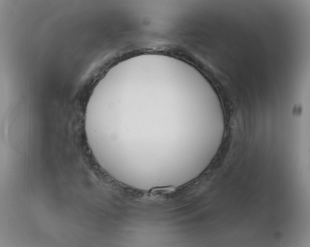 X0000110741447200907060956