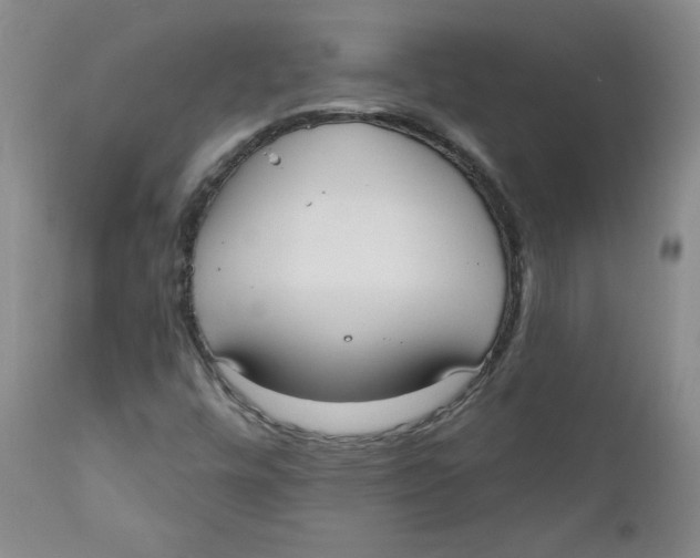 X0000110741448200907060956