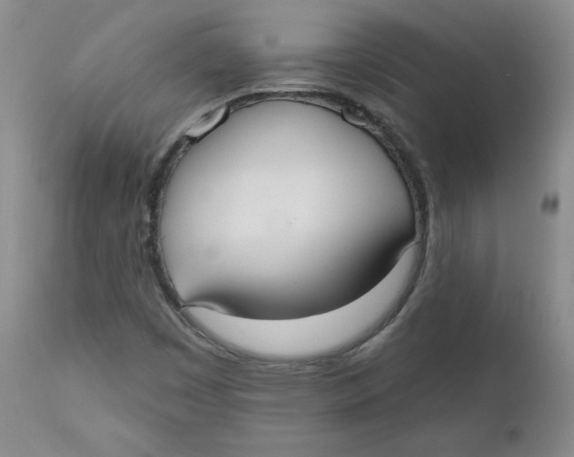 X0000110741449200907060956